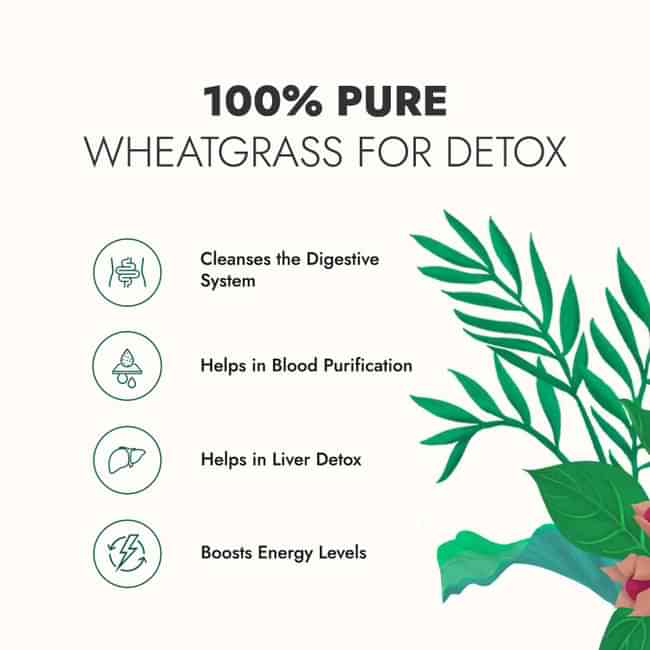 Uses of wheatgrass juice online